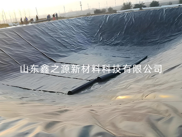 選擇防滲土工膜進(jìn)行小龍蝦養(yǎng)殖有哪些要點技巧？